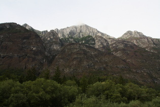 großflächig abgestorbener Bergwald oberhalb des Val Raccolana