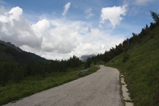 zwischen Sella di Rioda und Sella di Razzo, Lawinenschäden am Bergwald, Blick nach Westen …