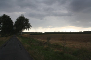 Regen südlich kurz vor Hösseringen, Blick nach Südwesten