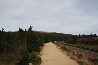 Blick vom Goetheweg zum Brockengipfel