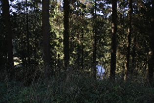 ein Teich im Verlauf des Grumbachs