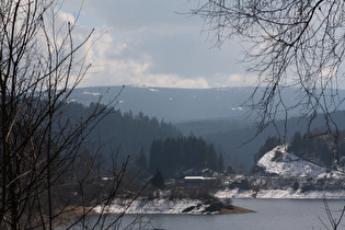 Zoom in den Winter, im Hintergrund der Bruchberg mit der Wolfswarte