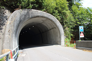 … und Südportal, daneben der alte, aufgegebene Tunnel