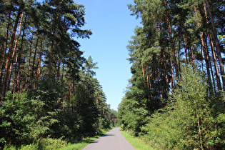 sehr ruhige Straße zwischen Böddenstedt und Gerdau
