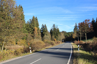L504 zwischen Altenau und Torfhaus, unterer Bereich