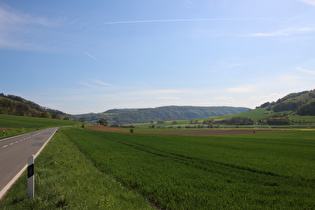 Wesertal zwischen Bodenwerder und Rühle, Blick nach Süden