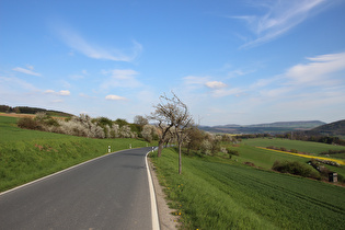 L580, Abfahrt Richtung Golmbach, Blick zum Holzberg
