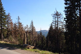Blick vom Brockenbett zum Wurmberg