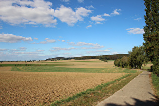östlich von Degersen, Blick zum Gehrdener Berg