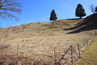 Bergwiese am östlichen Ortsausgang von Altenau