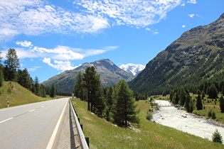 Blick über den Berninabach zur vergletscherten Berninagruppe