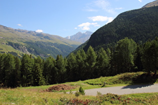 weiter oben, Blick über das Val di Forni auf den Monte Pasquale und dahinter den Monte Cevedale