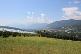 am Westrand von Fondo, Blick über das Val di Non auf die Alpi dell'Adamello e della Presanella …