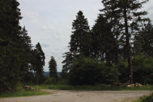 Kammweg oberhalb des Bärentals