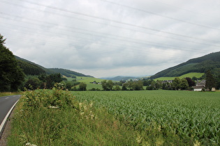 Salveytal oberhalb von Obersalvey, Blick talabwärts
