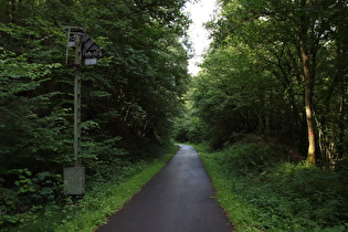 Bahnradweg zwischen Müllen und Lenhausen