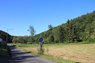 Dreisbachtal bei Eckmannshausen, Blick talaufwärts
