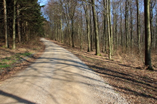 Steilstück zwischen Nienstedter Pass und Hohe Warte