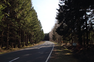 L504 zwischen Altenau und Torfhaus auf 600 m ü.NHN