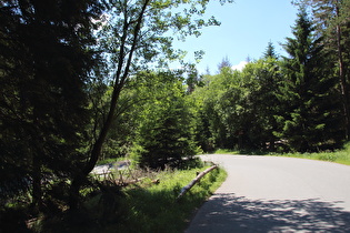 Brockenstraße, unterste Kehre mit noch grünem Wald drum herum