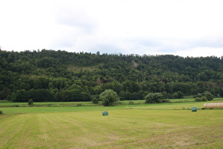 Weserradweg zwischen Bodenwerder und Rühle, Blick nach Westen