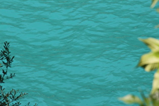 kein Farbfehler der Kamera – Das Seewasser ist so giftgrün!