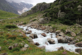 das Steinwasser in Steingletscher (BE), Blick flussaufwärts …
