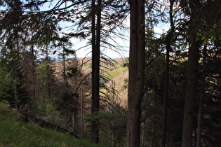 etwas weiter, Blick über den Mittelberg nach Nordwesten