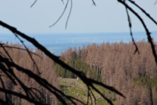 Zoom ins nördliche Harzvorland