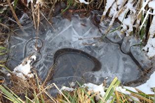 Eis im Straßengraben