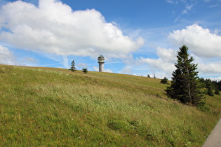 … und Blick zum Feldbergturm auf dem Seebuck