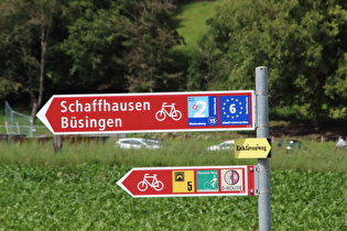 … unterwegs auf der Rhein-Route