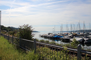 am Seeufer in Sipplingen, Blick nach Südosten