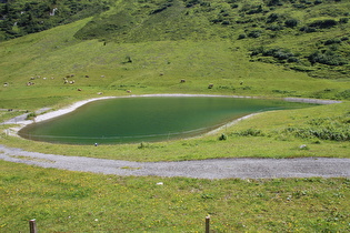 ein kleiner See nördlich unterhalb der Passhöhe