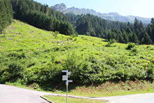 Abzweig zum Zeinisjoch von der Silvretta-Hochalpenstraße …