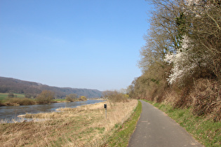 Weserradweg bei Rühle, Blick nach Norden …