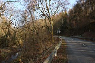 der Forstbach im Hooptal, Blick flussaufwärts
