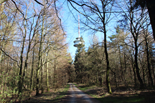 der Fernmeldeturm Barsinghausen auf dem Großen Hals