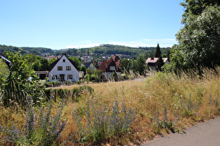 in Bad Liebenstein, Blick nach Südosten über den Ort …