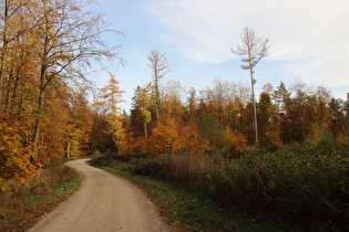 Herbststimmung auf dem Kammweg, Blick nach Südosten