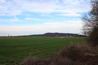 zwischen Ditterke und Lenthe, Blick zum Benther Berg