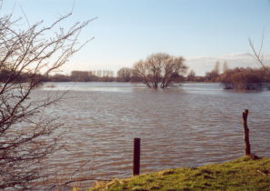 "Hannoversche Seenplatte" - Noch ist es nur Hochwasser ...